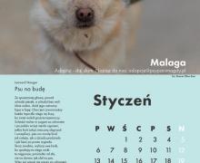 Psi kalendarz literacki. Bezdomniaki z Rytlowa 2020